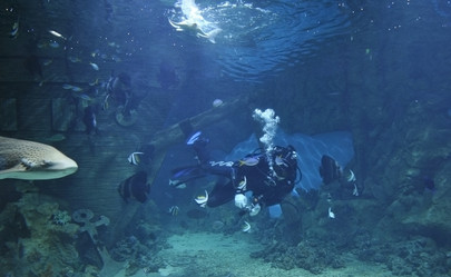 Similar image 1134245