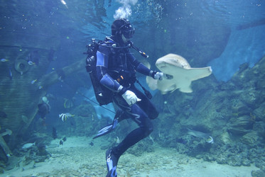 Similar image 1134246