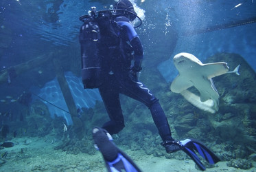 Similar image 1134247