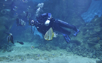 Similar image 1134249