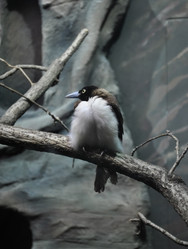 Similar image 1134250