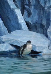 Similar image 1134254