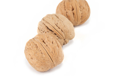 Similar image 1134271