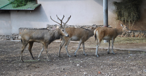 Similar image 1134305