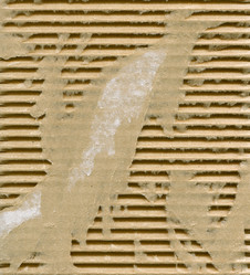 Similar image 1134309