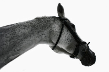 Similar image 1134330