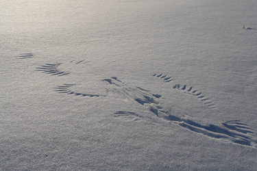 Similar image 1134333