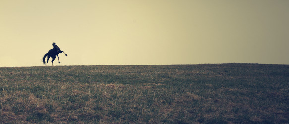 Similar image 1134347