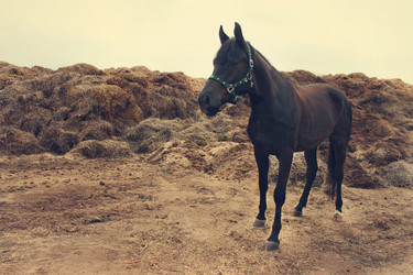 Similar image 1134348