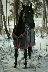 Similar image 1134350