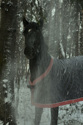 Similar image 1134351