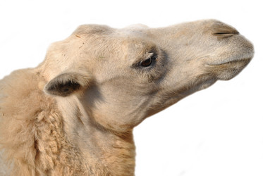 Similar image 1134356