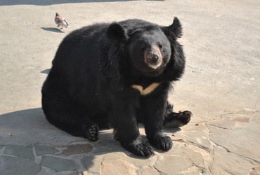 Similar image 1134357