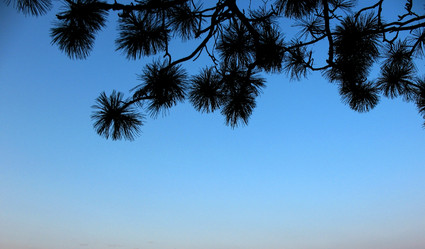 Similar image 1134359