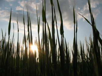 Similar image 1134360