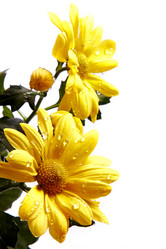 Similar image 1134368