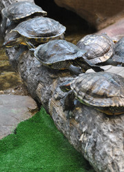 Similar image 1134370