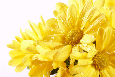 Similar image 1134439