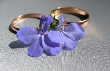 Similar image 1134483