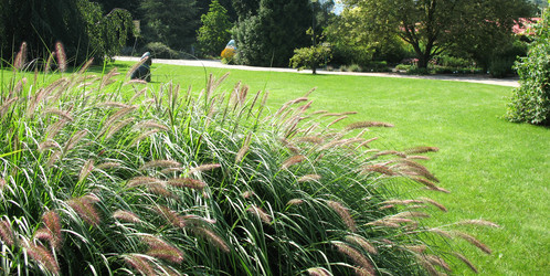 Similar image 1134487