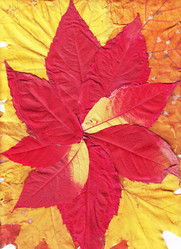 Similar image 1134493