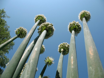 Similar image 1134500