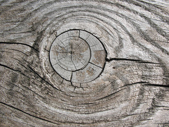 Similar image 1134503