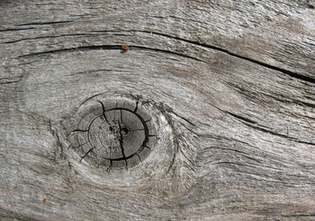 Similar image 1134506