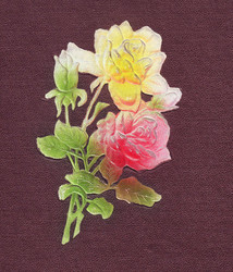 Similar image 1134509