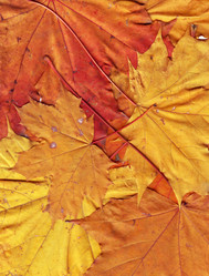 Similar image 1134533