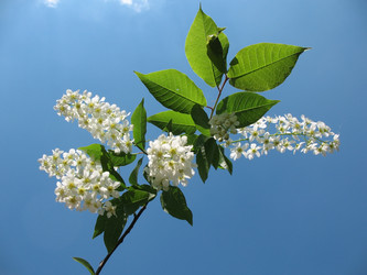 Similar image 1134535