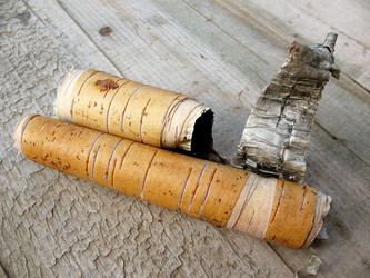 Similar image 1134538