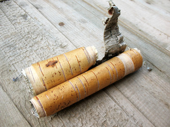 Similar image 1134539