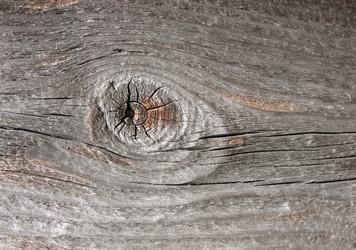 Similar image 1134542