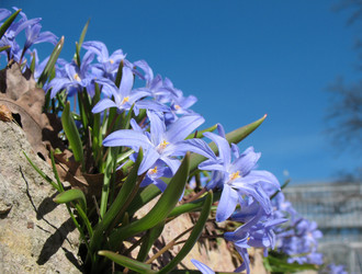 Similar image 1134544