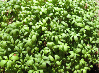 Similar image 1134545