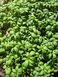 Similar image 1134546