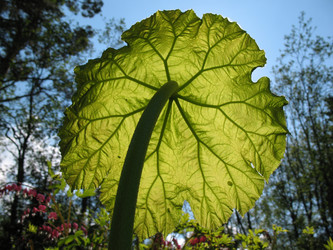 Similar image 1134549