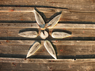 Similar image 1134554