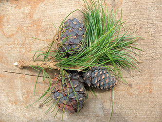 Similar image 1134558