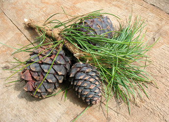 Similar image 1134559