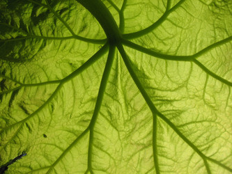 Similar image 1134582