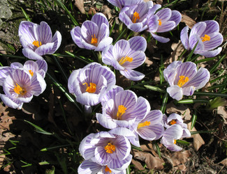 Similar image 1134583