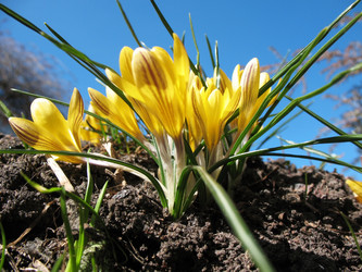 Similar image 1134589