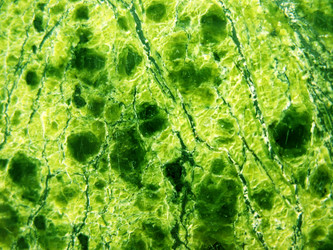 Similar image 1134592