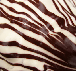 Similar image 1134593