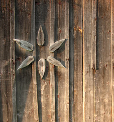 Similar image 1134600