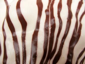 Similar image 1134601