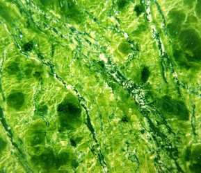 Similar image 1134603