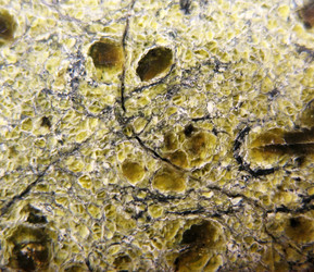 Similar image 1134604